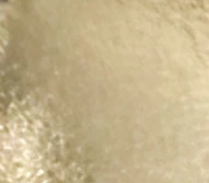 Thumbnail 21